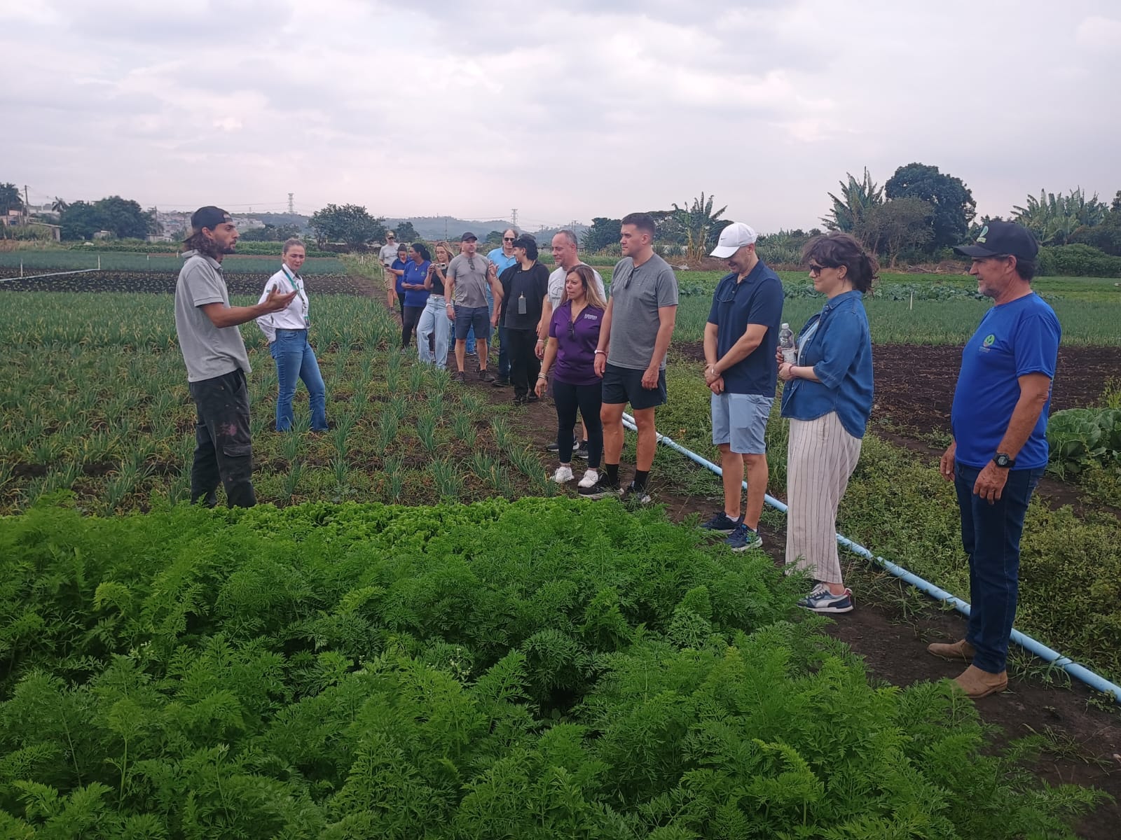 Iniciativas apoiadas pela Suzano fortalecem a agricultura familiar e beneficiam mais de 4 mil pessoas em São Paulo