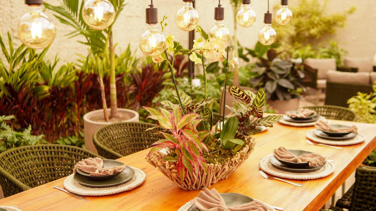 Expoflora 2026 apresenta 18 ambientes que unem paisagismo, bem-estar e convivência