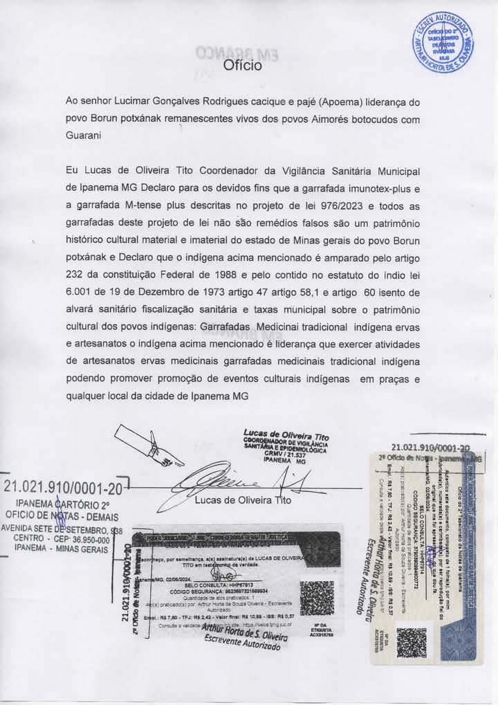 Cacique Apoema promove ação com garrafadas e medicina tradicional indígena em Ipanema (MG)