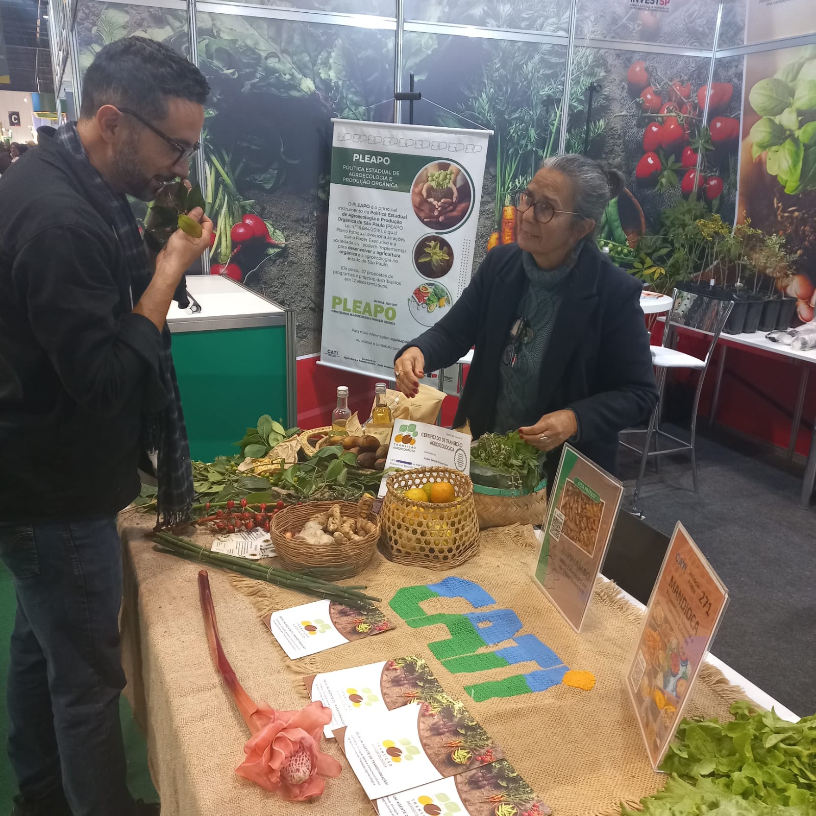 CATI celebra os 10 anos do Protocolo de Transição Agroecológica em evento internacional